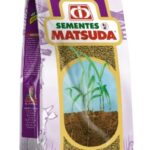 Massaí